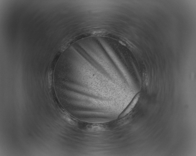 X0000073900475200608251502