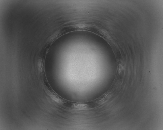 X0000073900476200608251502