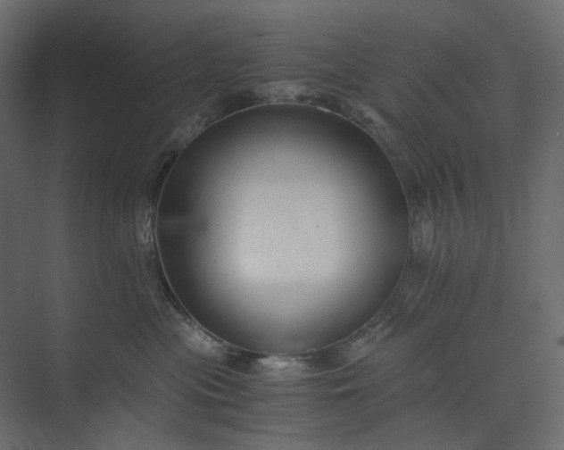 X0000073900477200608251502