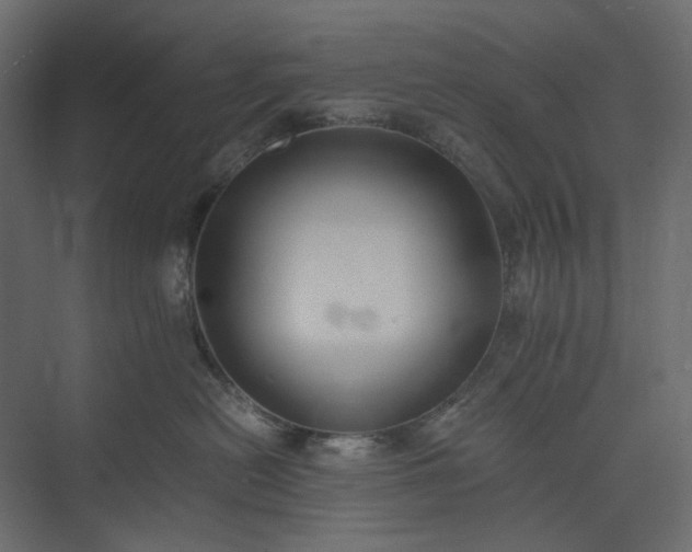 X0000073900478200608251502