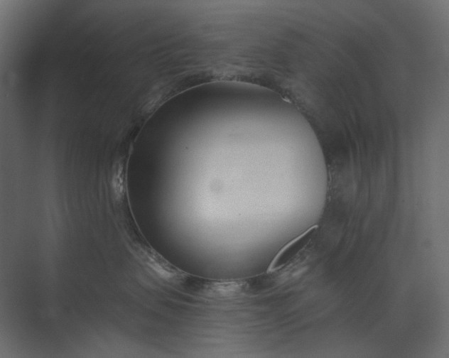 X0000073900479200608251502