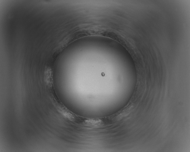 X0000073900480200608251502