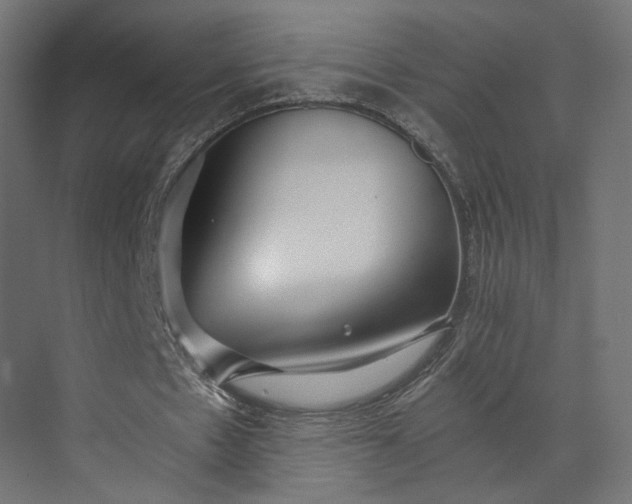 X0000073900481200608251501