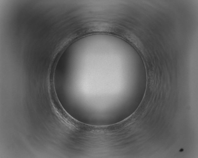 X0000073900482200608251501