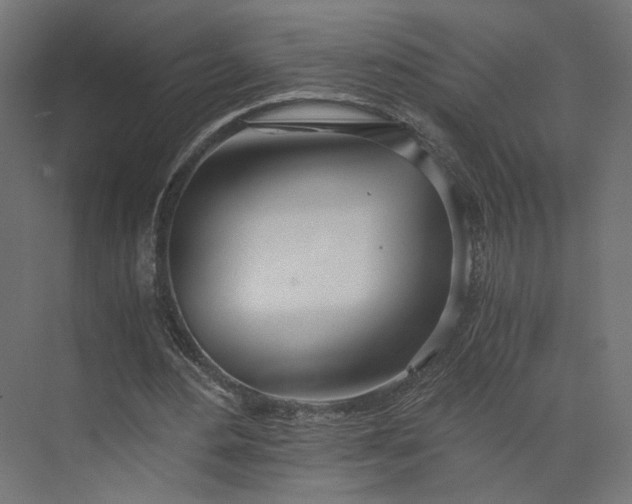 X0000073900484200608251501