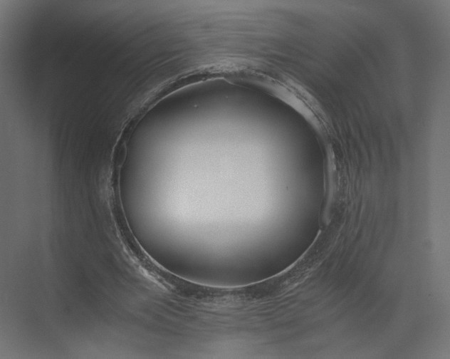 X0000073900485200608251501