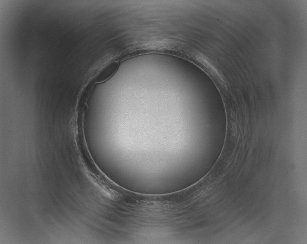 X0000073900486200608251501