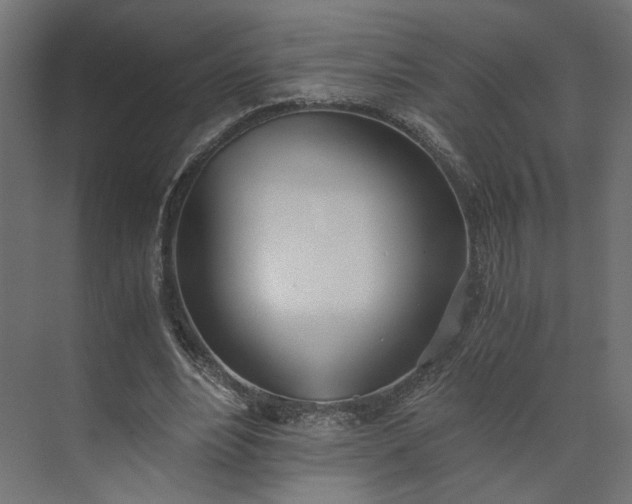 X0000073900488200608251501