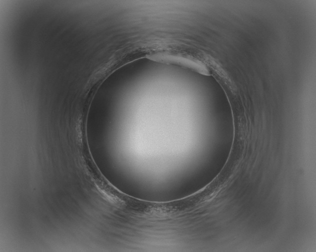 X0000073900489200608251501