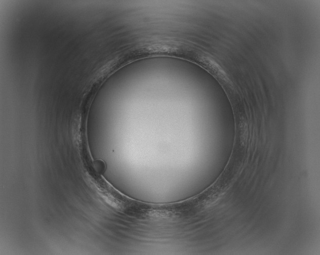 X0000073900490200608251501