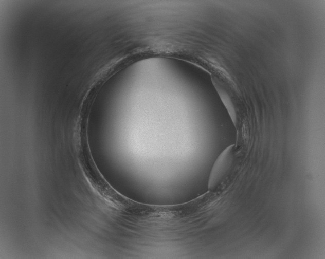 X0000073900492200608251501