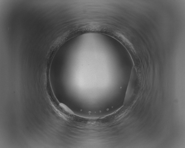 X0000073900493200608251501