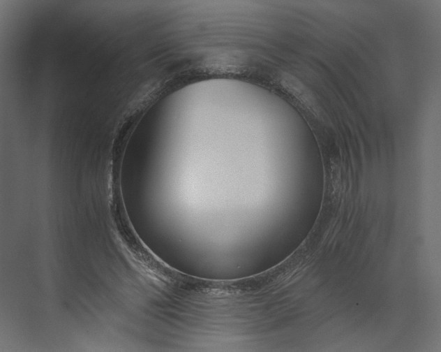 X0000073900494200608251501