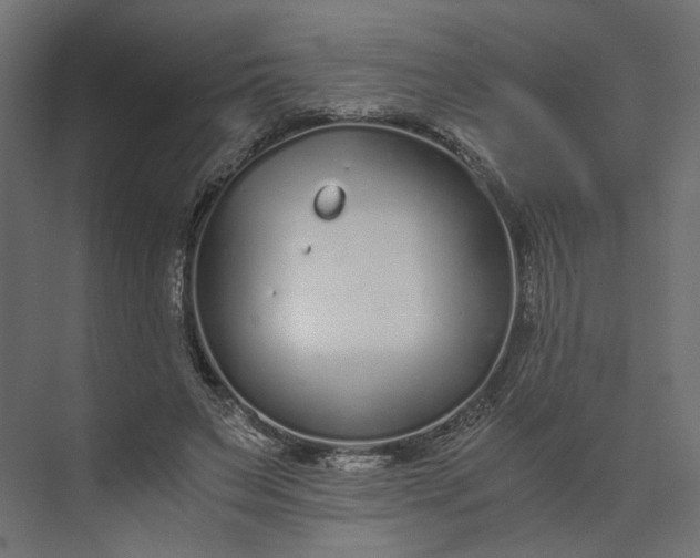 X0000073900495200608251501