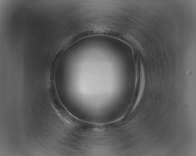 X0000073900496200608251501