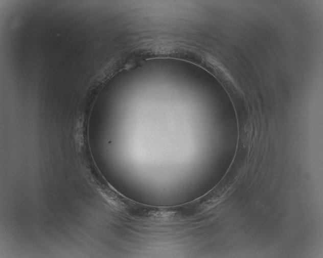 X0000073900497200608251501