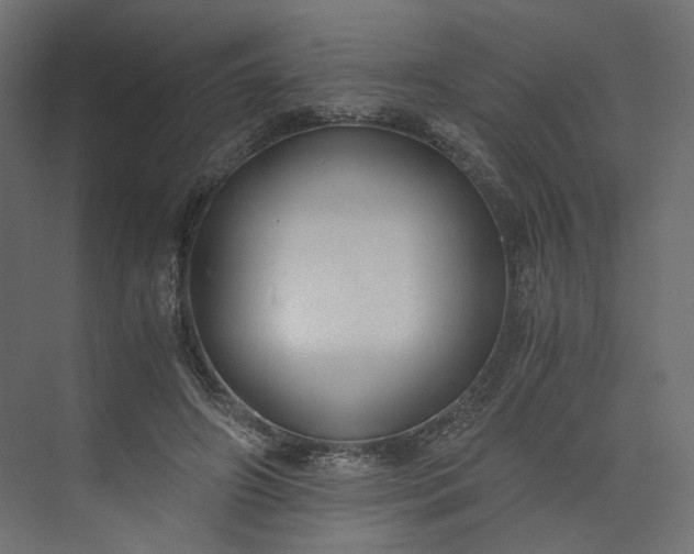 X0000073900498200608251501