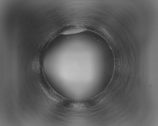 X0000073900500200608251501