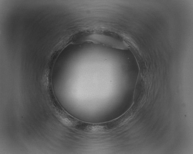 X0000073900501200608251501