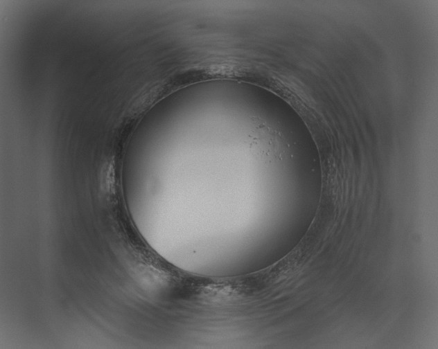 X0000073900502200608251501