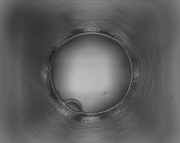 X0000073900503200608251501