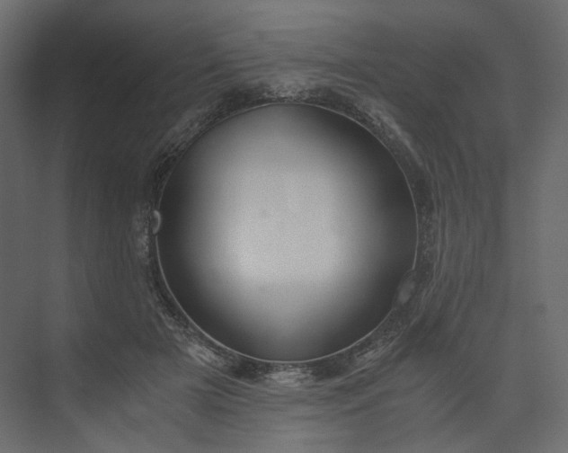 X0000073900505200608251501