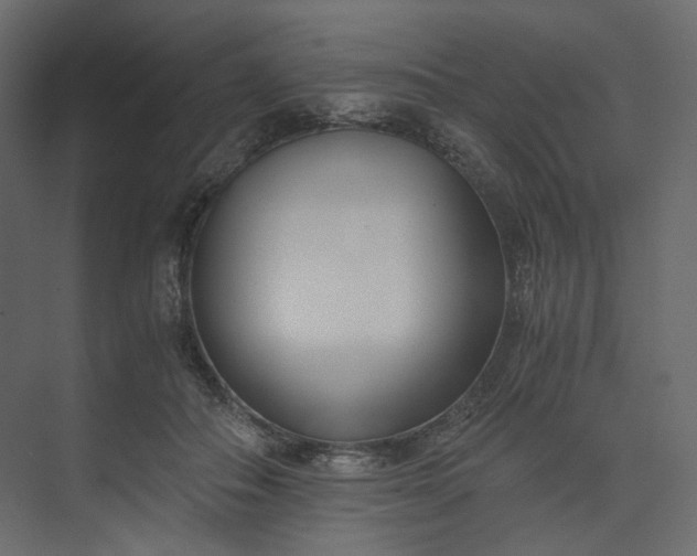 X0000073900506200608251501