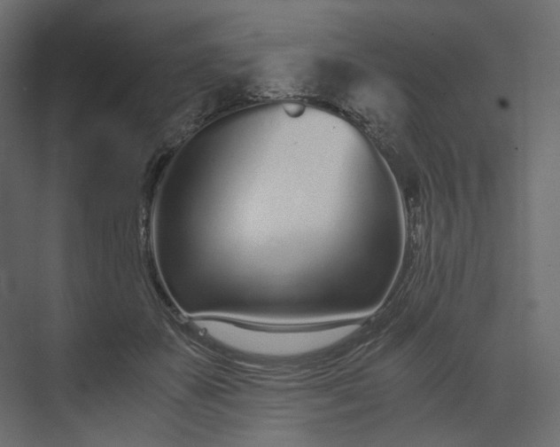 X0000073900507200608251501