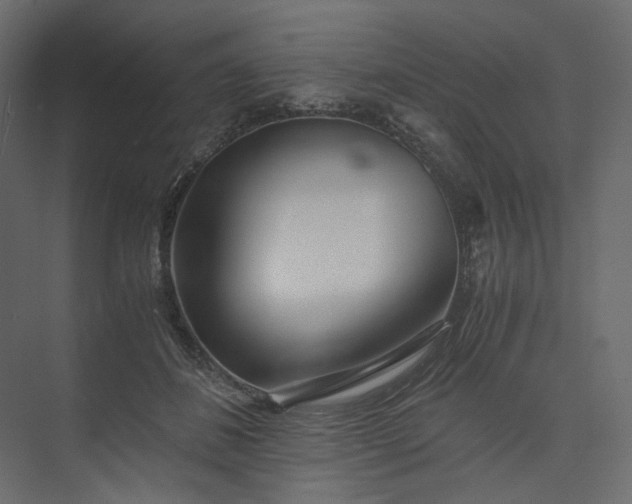 X0000073900508200608251501