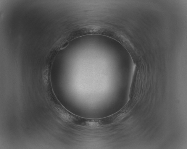 X0000073900509200608251501