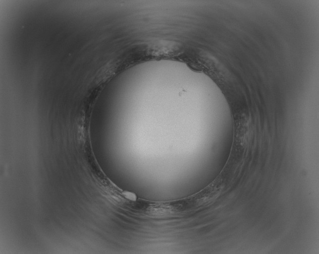 X0000073900510200608251501