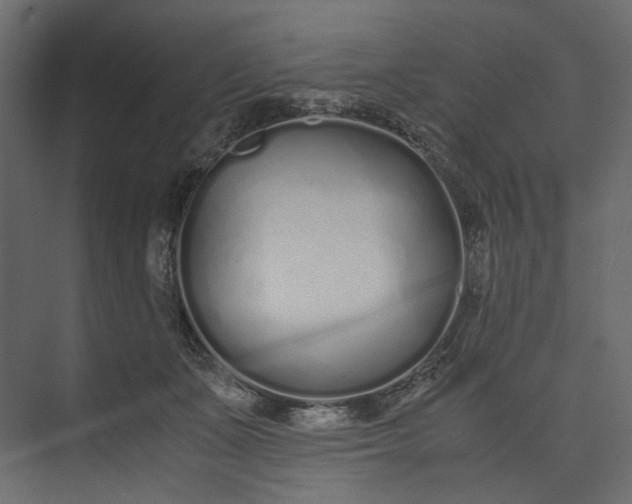 X0000073900511200608251501