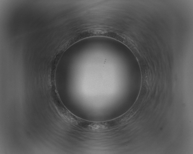 X0000073900512200608251501