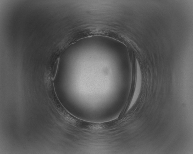 X0000073900513200608251501