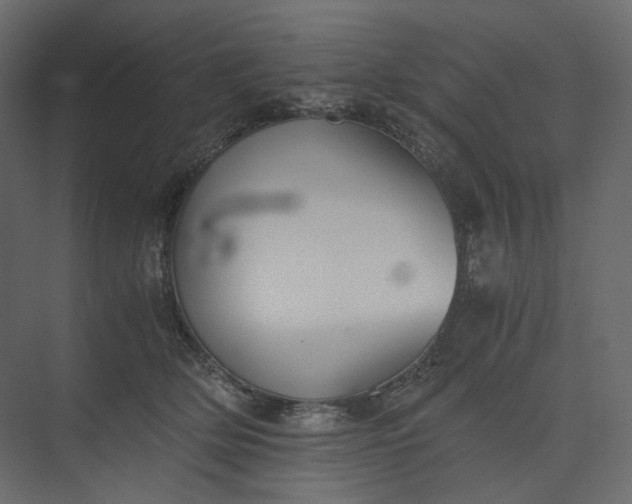 X0000073900514200608251501