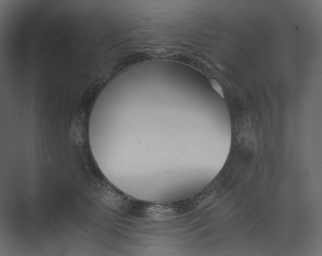 X0000073900515200608251501