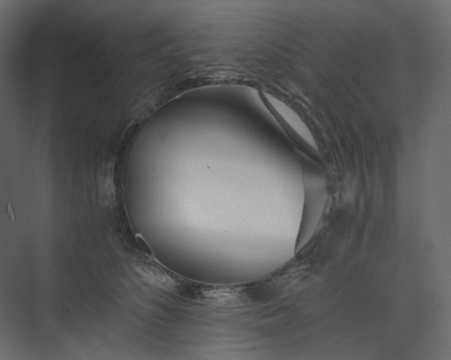 X0000073900516200608251501