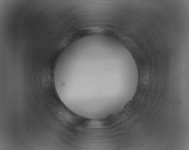 X0000073900518200608251500