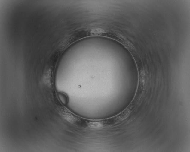 X0000073900519200608251500