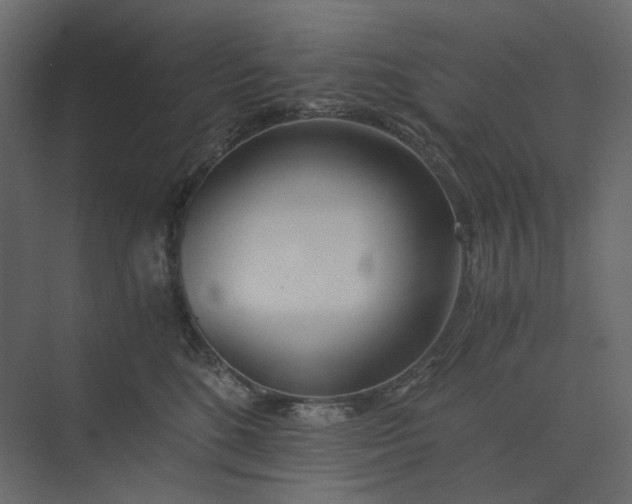 X0000073900520200608251500