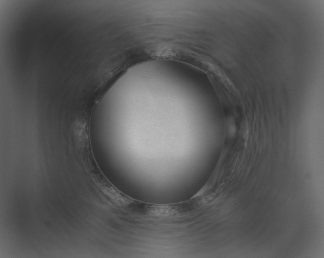 X0000073900521200608251500