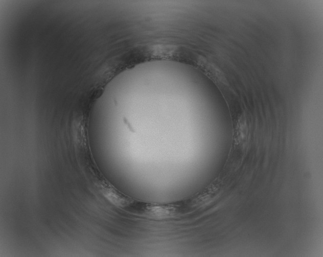 X0000073900522200608251500