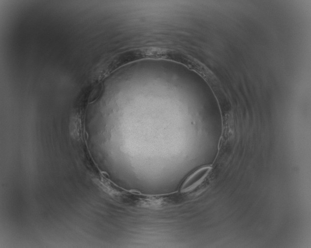 X0000073900523200608251500