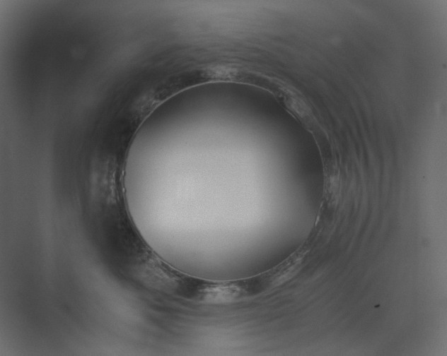 X0000073900525200608251500