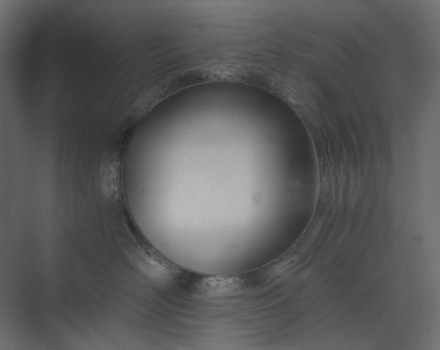 X0000073900526200608251500