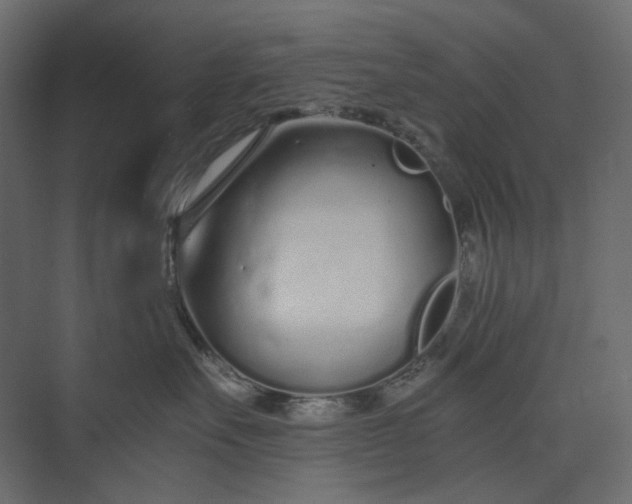 X0000073900527200608251500