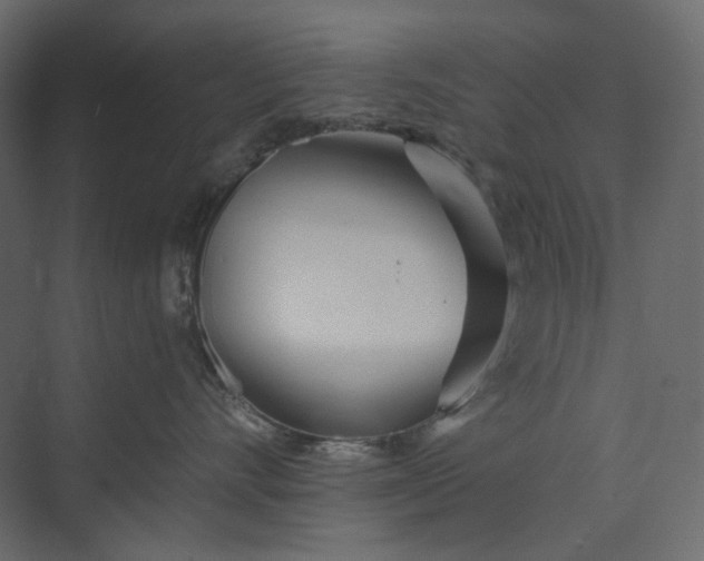 X0000073900528200608251500