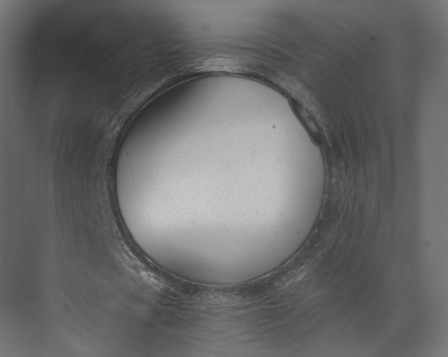 X0000073900529200608251459