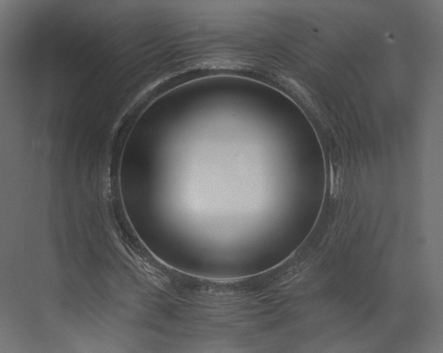 X0000073900531200608251500