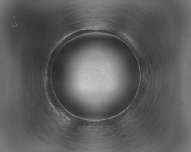 X0000073900532200608251500